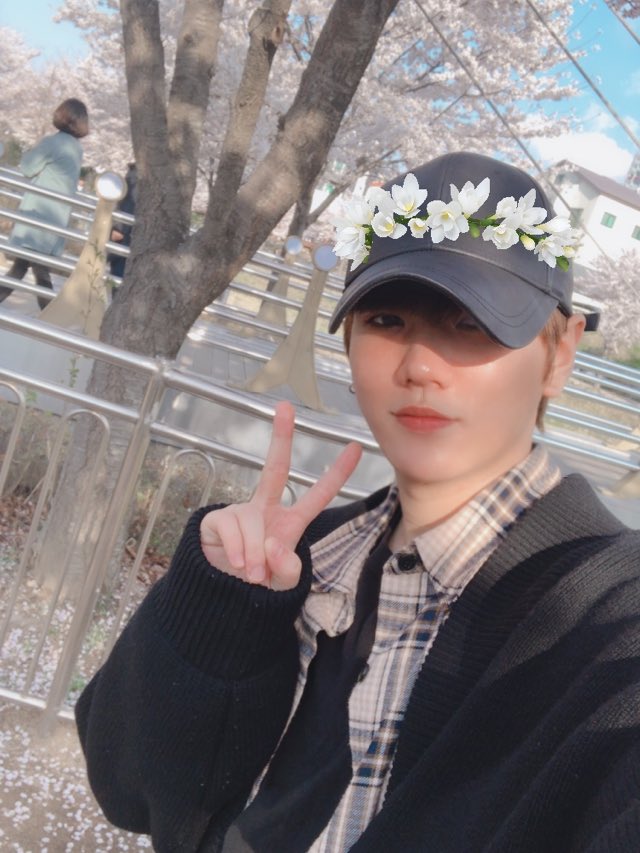 UP10TION's tweet photo. 이젠 진짜 봄인가봐요>< 벚꽃이 이쁘길래💕🌸🌸🌸#업텐션 #환희 #벚꽃이이쁜사진🌸 https://t.co/OGPsYseHNO