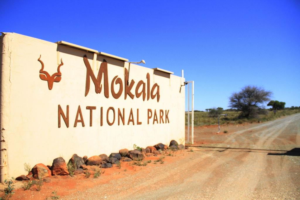 Northern Cape tweet media