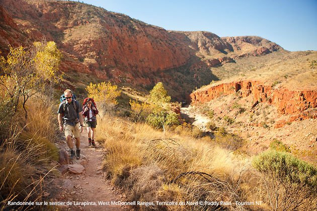 GuideDuRoutard's tweet photo. #ExplorersWay : notre sélection d'activités outdoors et culturelles https://t.co/lQm1kvu4NN @TourismAus @TourismNT @southaustralia 🇦🇺 https://t.co/1RoopgLlFN