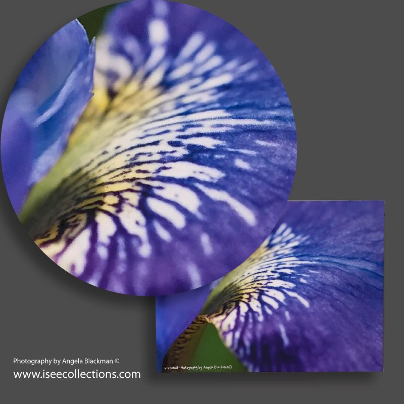 iseecollections's tweet photo. With a few recent hints of #summer, the focus returns to the #outdoors. Even mowed the lawn yesterday and I bet we’re not the only ones!
Meanwhile indoors, why not take advantage of our special offers?
https://t.co/mtfhRvxSJH
#UkGiftAM #UKGiftHour #livingroom #homestyle #wallart https://t.co/QWDiLi4wVQ