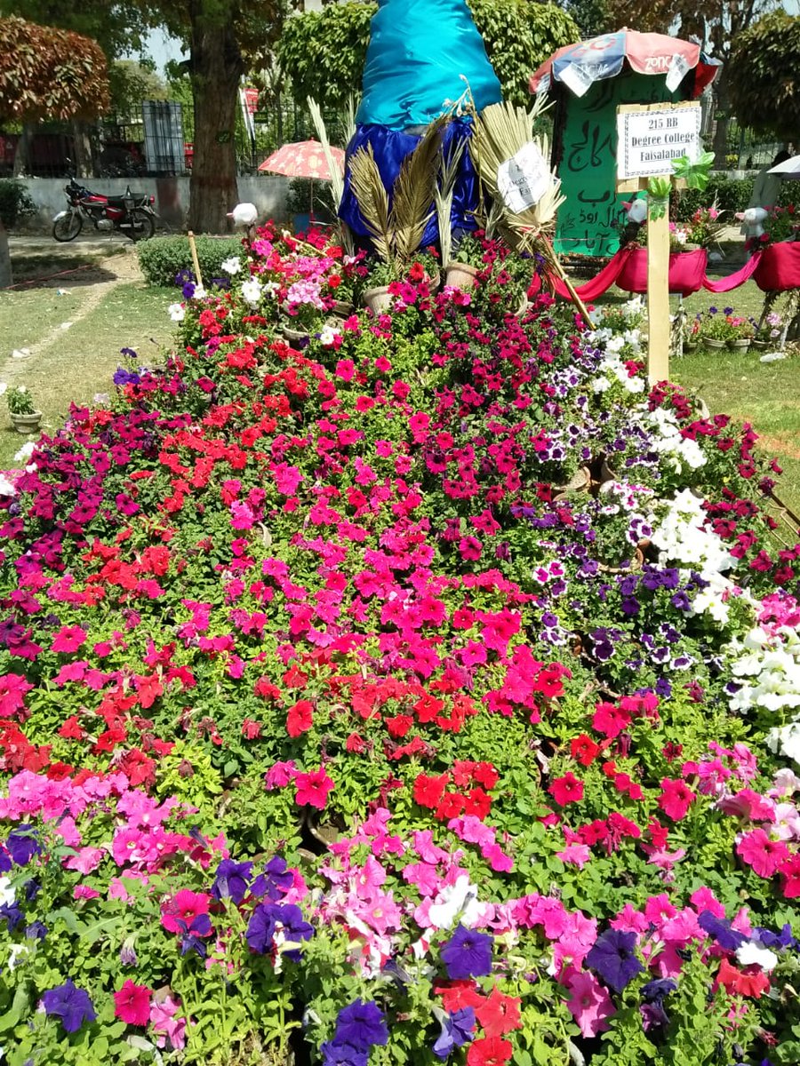 ifrajaved14's tweet photo. #Faisalabad 
#DGround 
#Flowerexhibition https://t.co/qJpQgQANxb