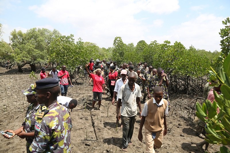kdfinfo's tweet image. Kenya Navy personnel have joined local community in Likoni Sub-County in an organized mangrove tree planting exercise at Kaya Mtongwe Forest. #EnvironmentalSoldierProgramme #TowardsTotalNationalDefence #OnTimeOnTarget #BravoZulu