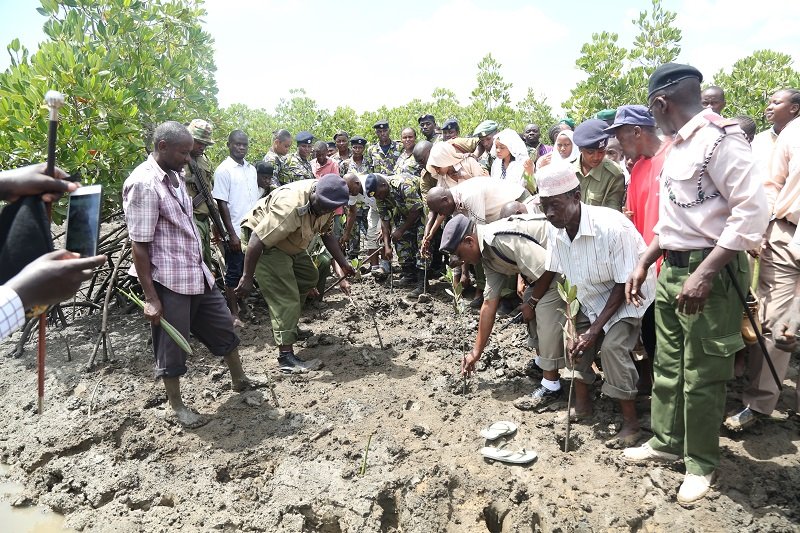 kdfinfo's tweet image. Kenya Navy personnel have joined local community in Likoni Sub-County in an organized mangrove tree planting exercise at Kaya Mtongwe Forest. #EnvironmentalSoldierProgramme #TowardsTotalNationalDefence #OnTimeOnTarget #BravoZulu