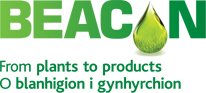 W_2_R_Woods's tweet photo. A landmark day yesterday for our Rhondda future biofuel initiative. Our volunteers were at @AberUni harvesting stock for our new test growing site. Thanks to @beaconwales for all the support you are providing to our community energy project. #sustainabledevelopment #energy https://t.co/PwjnY5upuW
