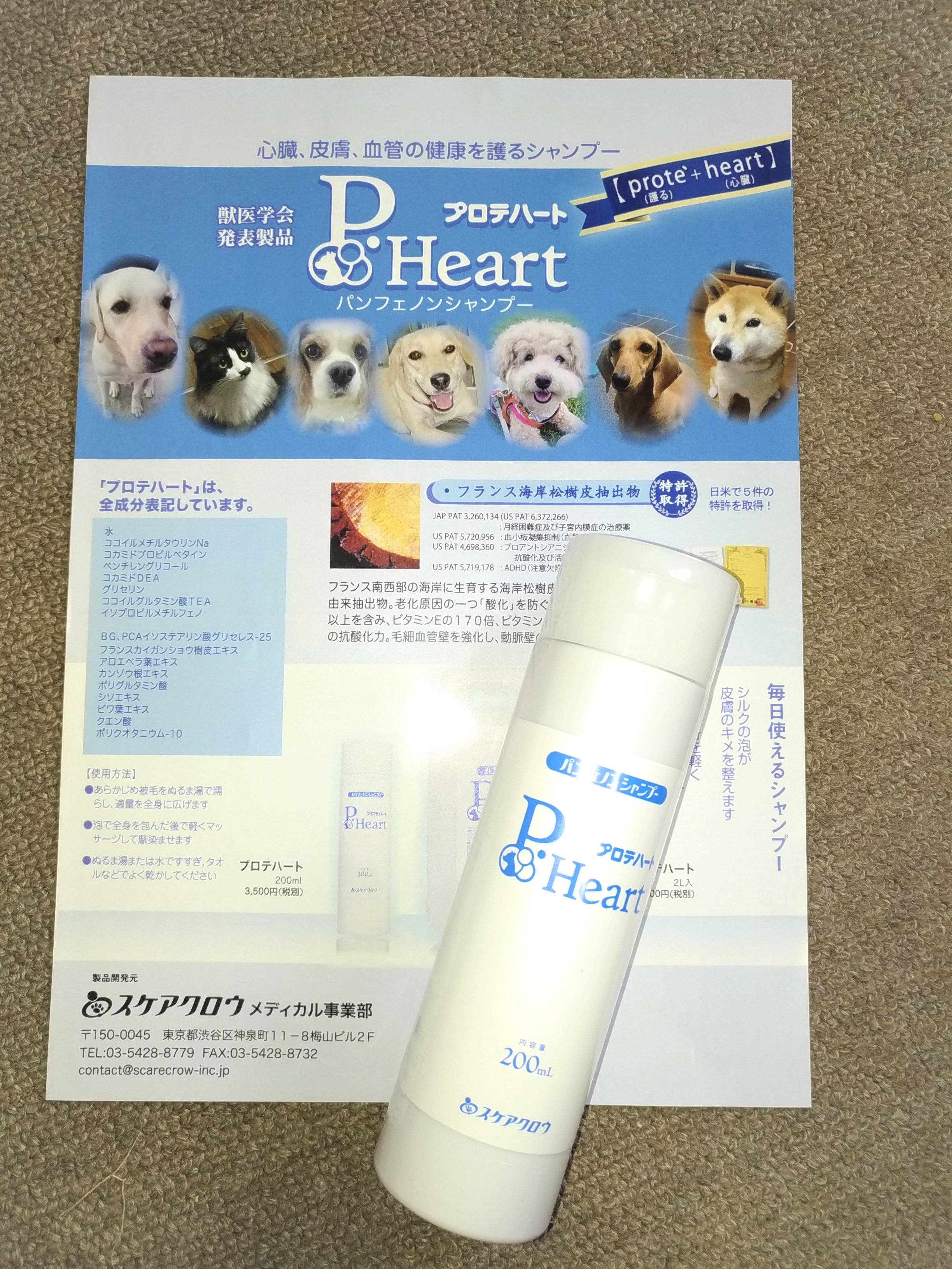 パンフェノン Twitter Search Twitter