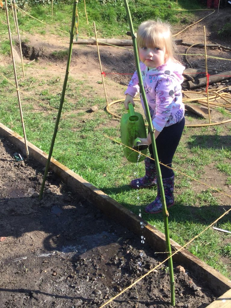 FoleyPAcademy's tweet image. The children loved watering the seeds in forest school. #nurseryfun #forestschoolife
