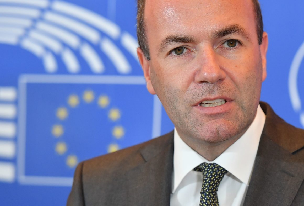 StudiCina's tweet photo. Germany's Manfred Weber warns of China 'shopping spree' https://t.co/OXH4lTEcvg https://t.co/RCSUe59MB6