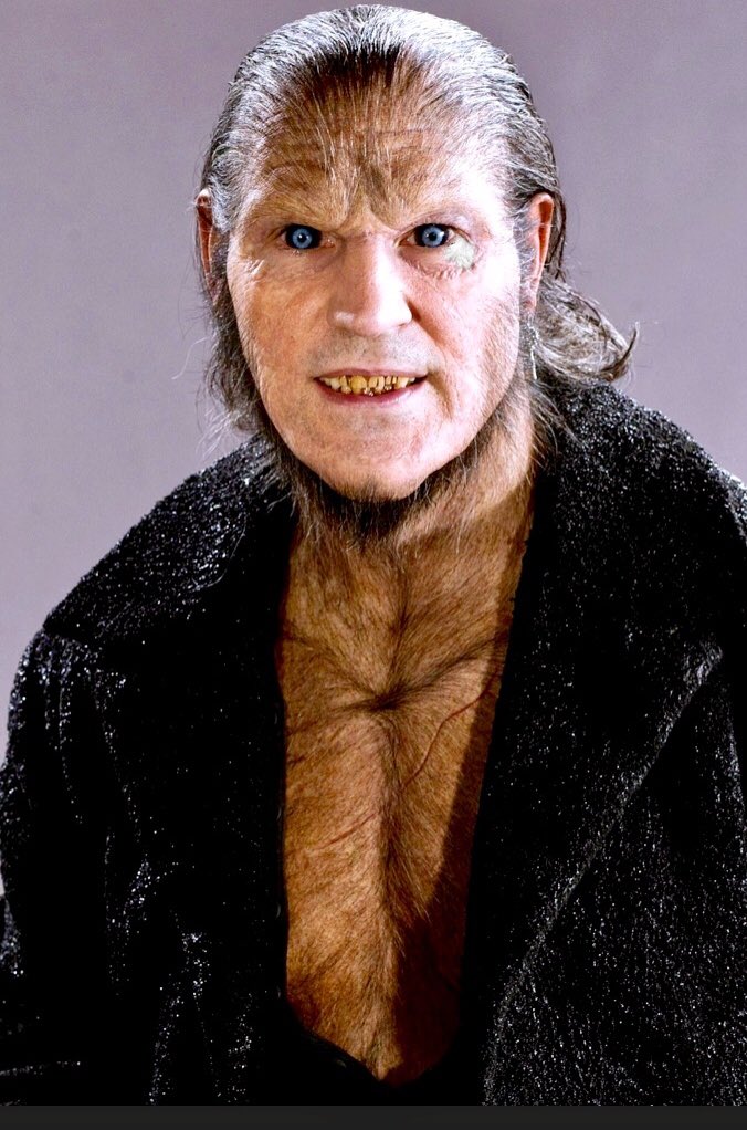 Uzivatel ｔａｃｈｉ Na Twitteru フェンリール グレイバック って 名前の響きめちゃくちゃ良い 他には マダム ポンフリー とか クルックシャンクス とかも好きかなー ハリーポッター ハリポタ フェンリールグレイバック 狼人間 ライカンスロープ