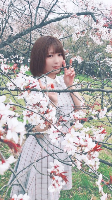 コスプレイヤー黒子ききのTwitter画像46
