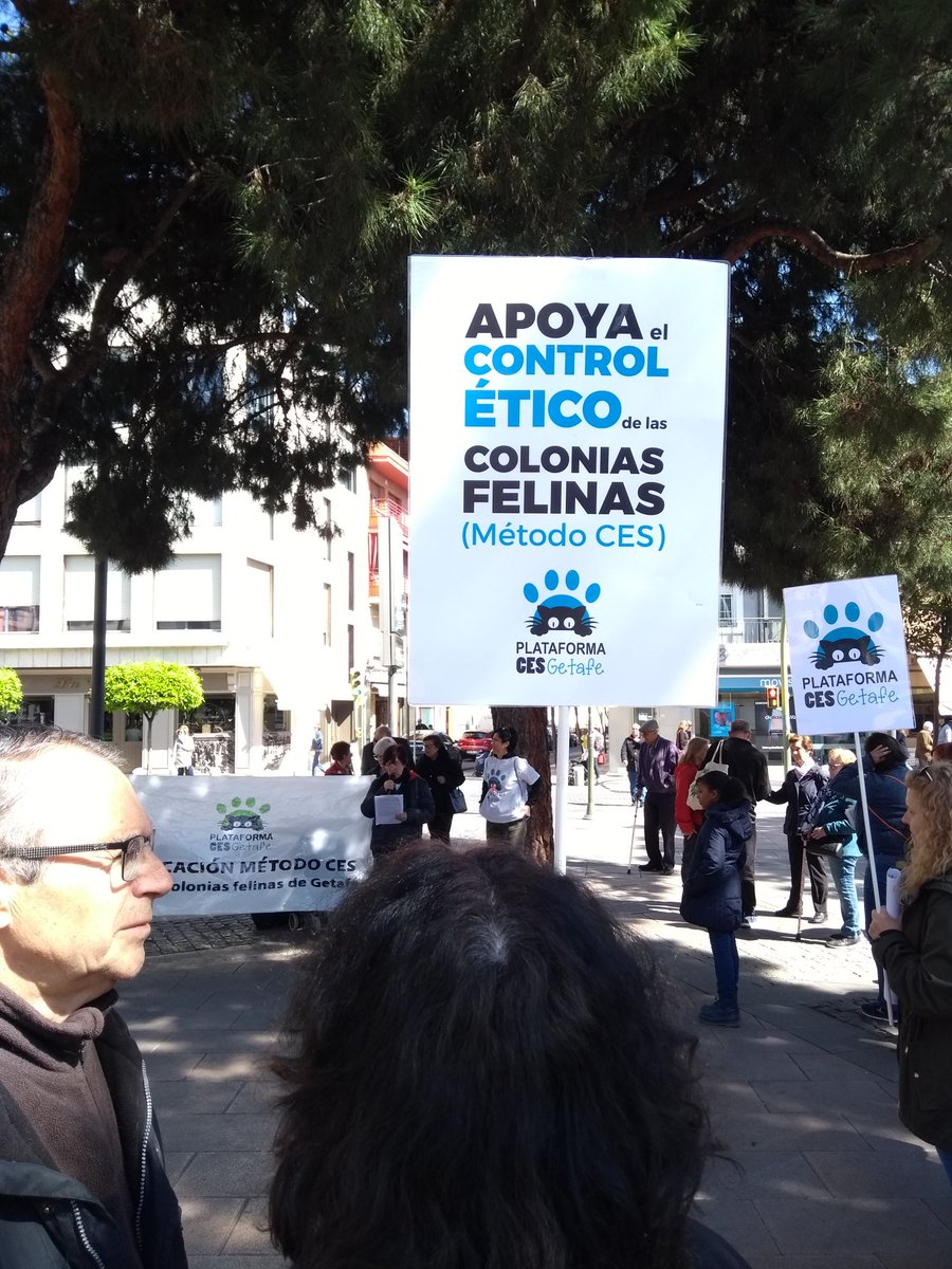 ces_getafe's tweet photo. Arrancamos el acto por la aplicación del #MétodoCES en #Getafe! https://t.co/6TrEyCHSnv