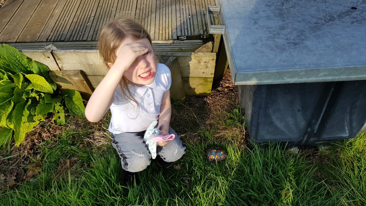 mrslauraharding's tweet photo. Olivia has hidden her stone at Webheath Allotments, hopefully someone will find it! #webheathrocks #webheath @Webheathschool https://t.co/xUorJodUvl