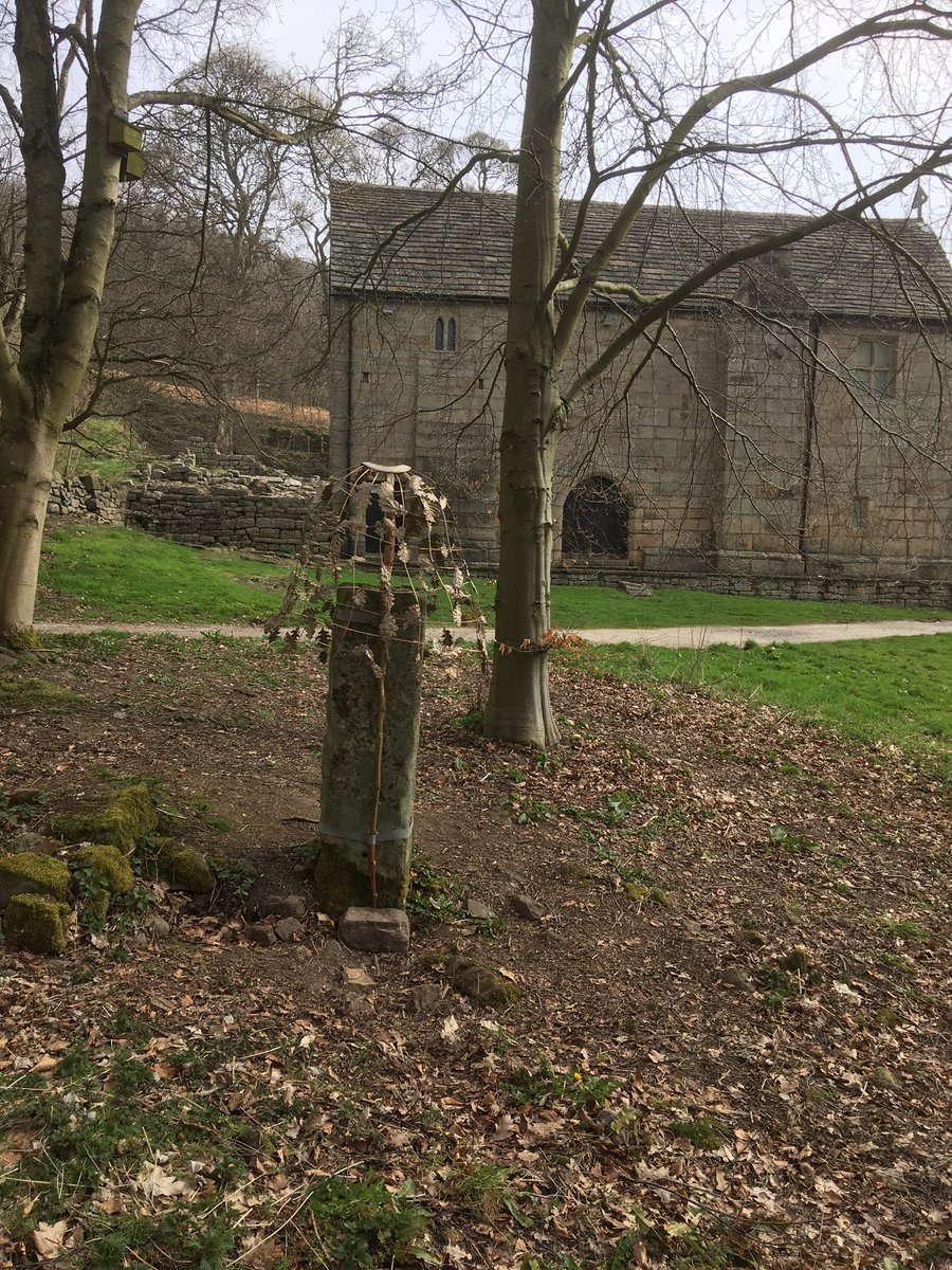 #themeaningoftrees exhibition by @sarahcook_art this weekend by Padley chapel