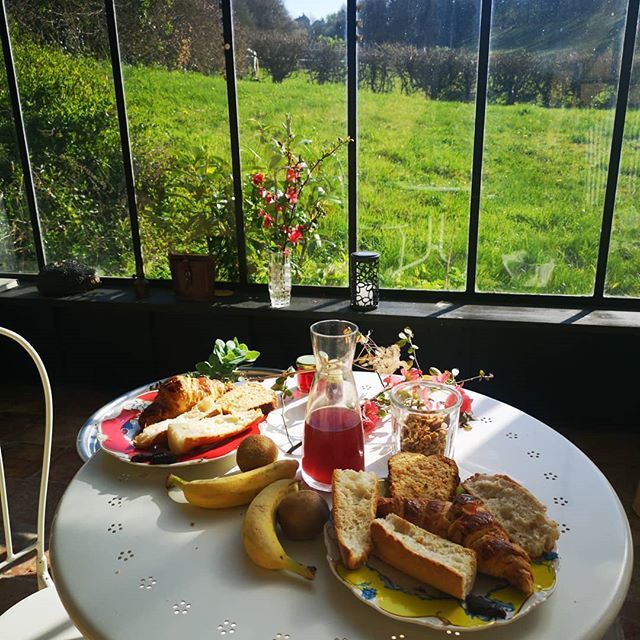Chicon_Choc's tweet photo. Merveilleux week-end au vert à @larichardiere
.
.
#weekend #green #detox #digitaldetox #love #perfectplace #France #ilovefrance #voyage #travel #breakfast #homemade #faitmaison https://t.co/NockbC0OSj https://t.co/hgSpTJOPKr