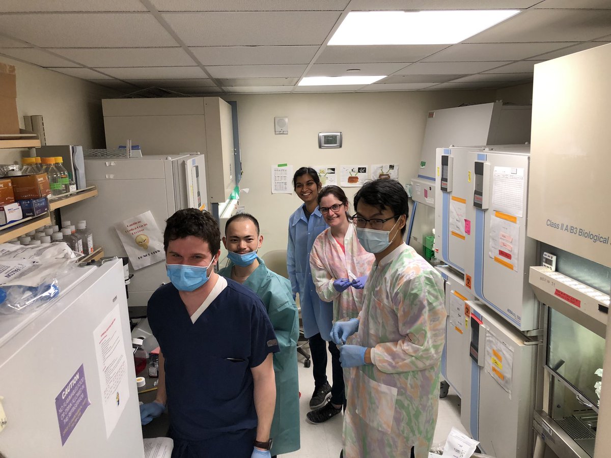 oesterreichs's tweet image. Today Saturday 3-6am - Tumor specimen collection in @Adrianvlee @oesterreichs lab. THANKS to Lori and everybody involved! Commitment and passion to cure breast cancer. #bcsm @LobularBCA @UPMCHillmanCC @npriedig @ZheqiL @SusanGKomen @BCRFcure @RosenzweigTeam