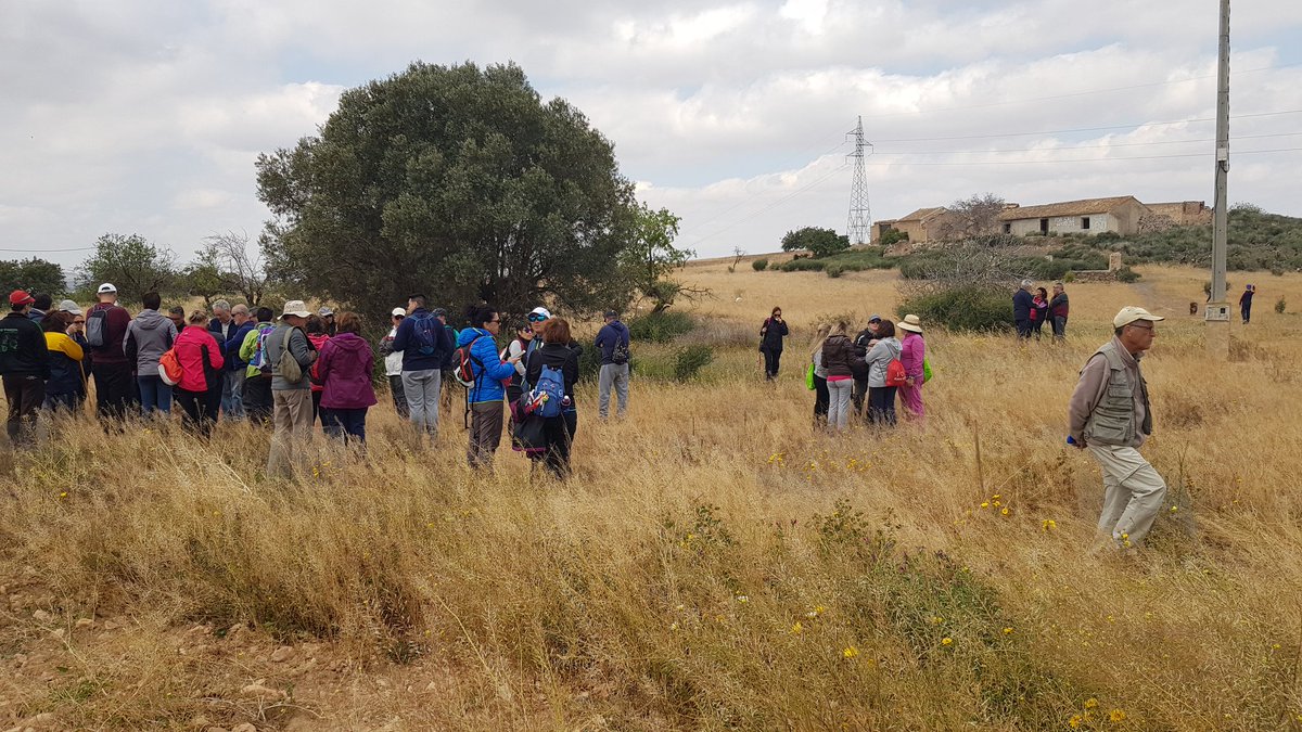 Visita de la poblacion de Astragalus nitidiflorus de Casas del Molino, parcela cedida por <a href="/AytoCartagenaES/">Ayuntamiento de Cartagena</a> y con apoyo de LIFE