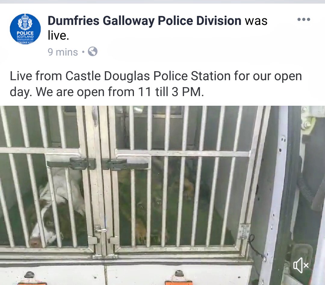 PSOSDogs's tweet image. Get yourself down to Castle Douglas Police Station open day 11-3pm today and meet our #PDBuck #PDMac and #TPDRocky. Tag us in your photos if you meet them @DumfriesGPolice 🐕🐾