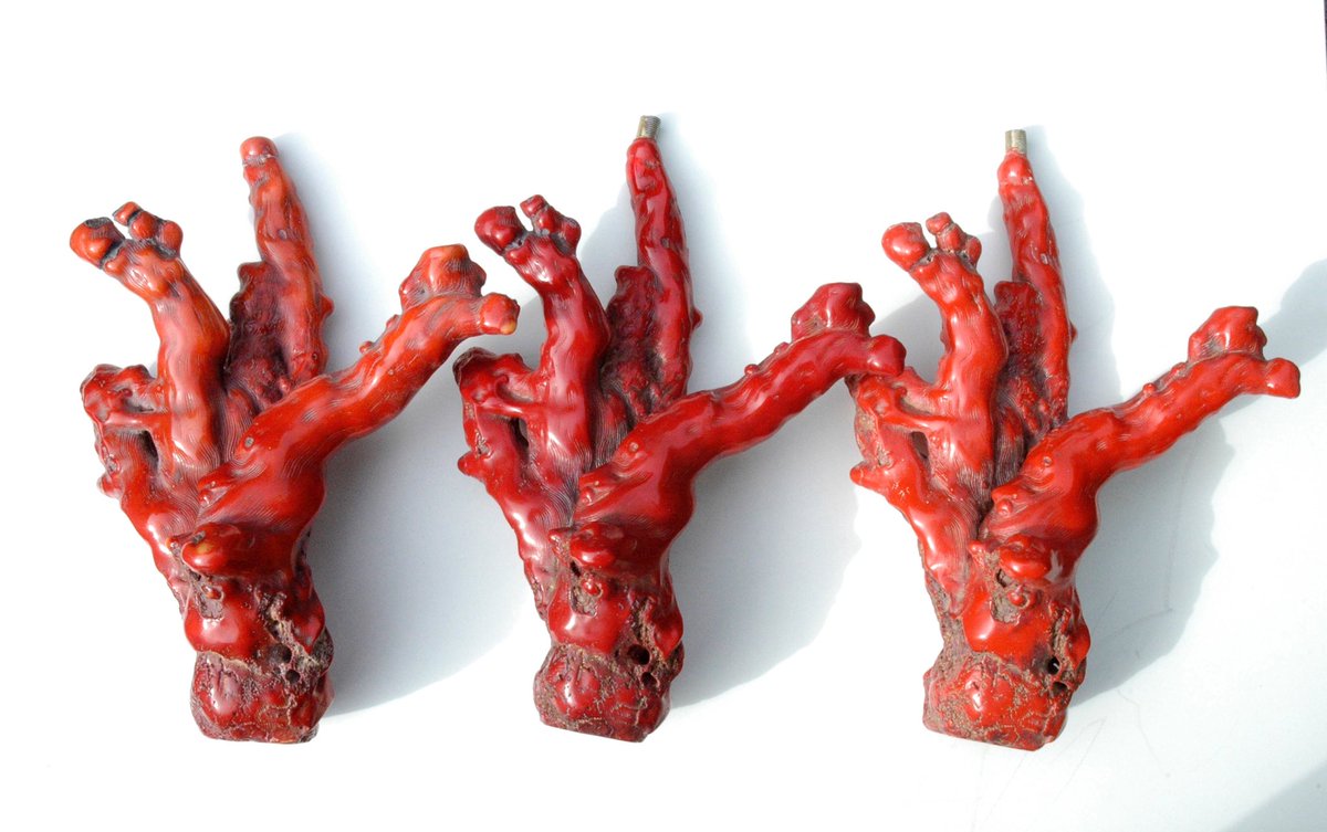 Stéphane GÉRARD (@stephanegerard_) on Twitter photo 