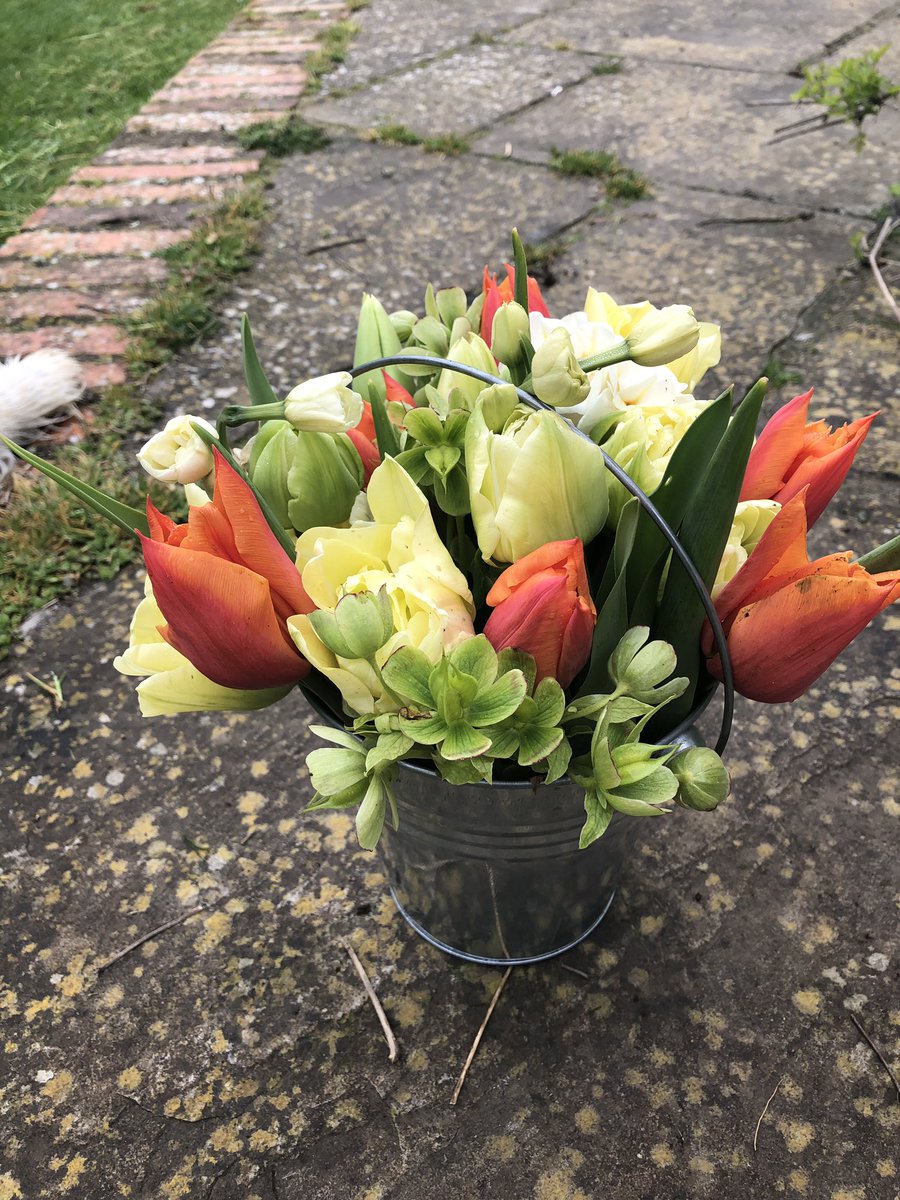 WaysideHealer's tweet photo. I knew planting tulips for cut flowers was going to be worth it.
#springposy
#bobsfoot https://t.co/s03drkj9gF