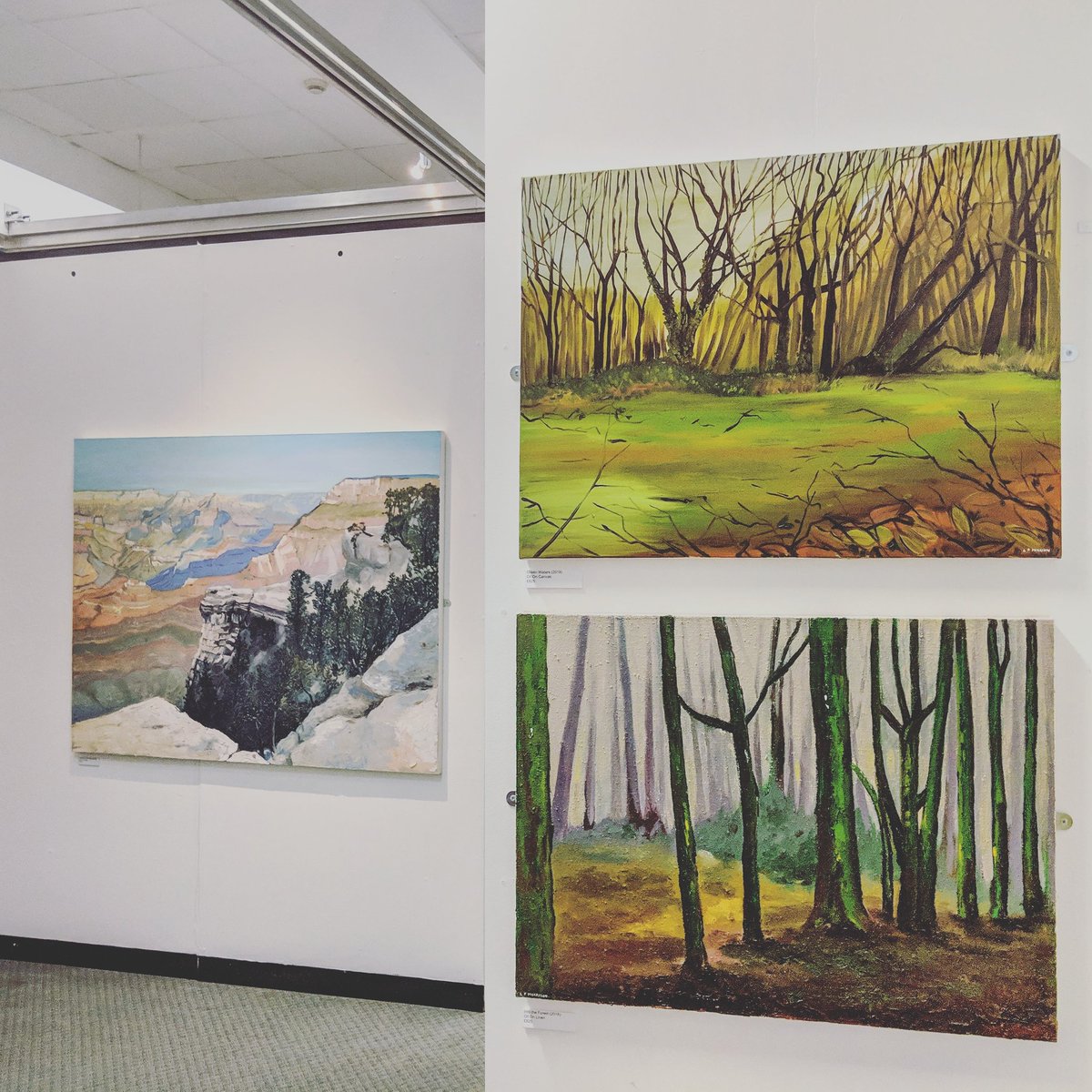 lfmartworks's tweet photo. Heading out &amp; about today? Why not stop by @nuneatonmuseum to see 'Wild Places' #gallerypreview
Exhibition continues until 22nd April 2019
#exhibition #Nuneaton #oilpaintings #wildplaces #SaturdayMotivation #saturdaymorning https://t.co/zRnClAaDil