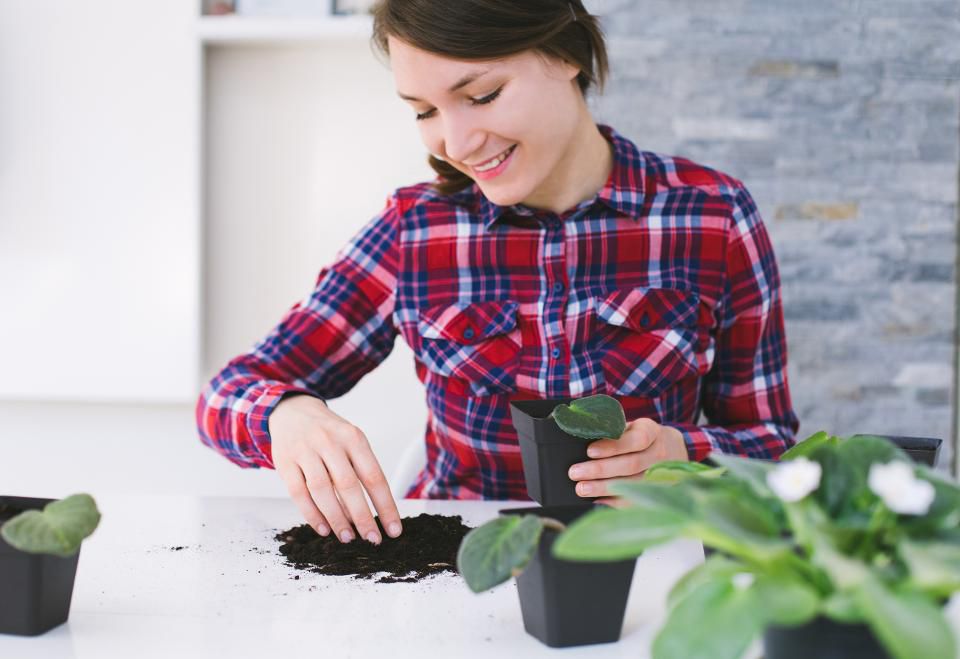 How gardening can fight stress and improve your life: on.forbes.com/6014EwMGn