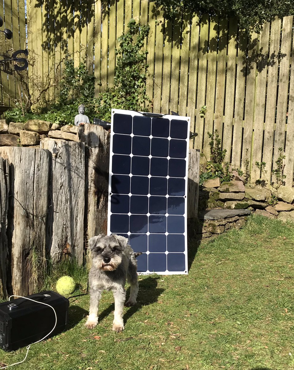 WeeGrowl's tweet photo. Been playing with my ball and they said I looked knackered, so I was charged up by solar power ๐๐ #GardenAntics https://t.co/f4O4x0T2Rs