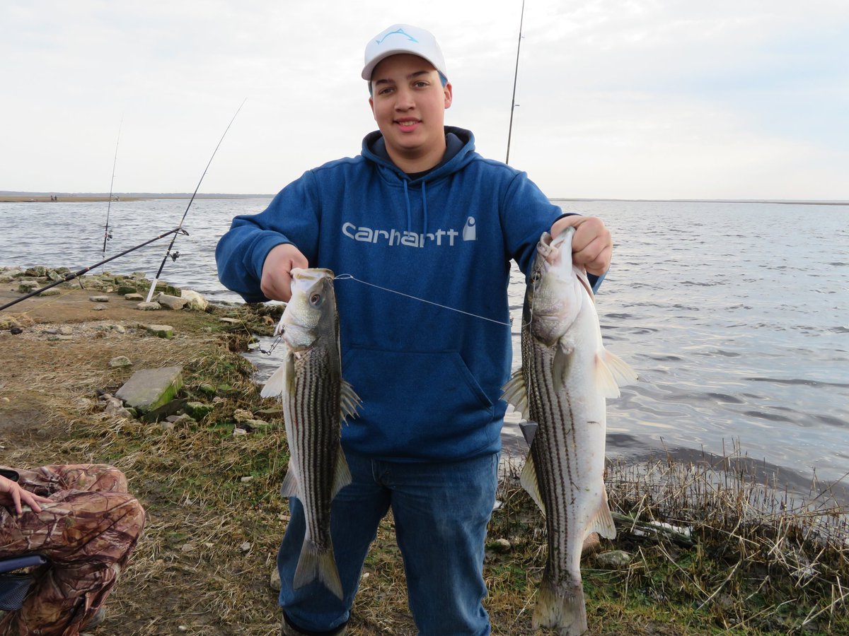 ReelMaxLife's tweet photo. Went fishing at Jefferies landing last night and did great even got a double header https://t.co/80Qn2iTLmn