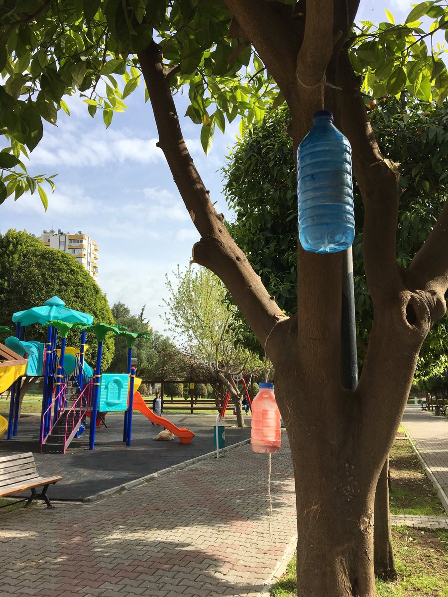 Ahbap Adana olarak; doğadaki dostlarımız için el birliğiyle yemlik ve suluklar yaptık. Doğadaki dostlarımıza da “sevgiyi ve gerçeği” götürdüğümüz çok güzel bir proje oldu. Yaptığımız çalışmalarda ‘Minik Ahbap’ Çıtır da bize eşlik etti. <a href="/haluk_levent/">Haluk Levent</a> <a href="/ahbapplatformu/">Ahbap Platformu</a> @ahbap_cevre