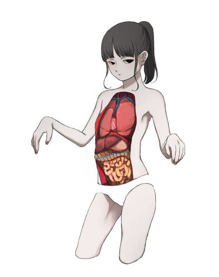 だいぶ昔に描いた人体模型ちゃんの左肺をついに直した 左肺に中葉があった 冬虫カイコのイラスト