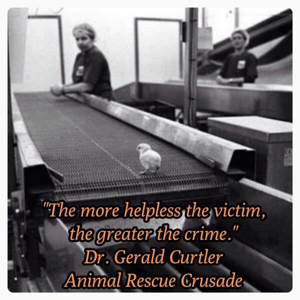 To you an egg is a simple breakfast choice

To male chicks, it means being ground up alive.