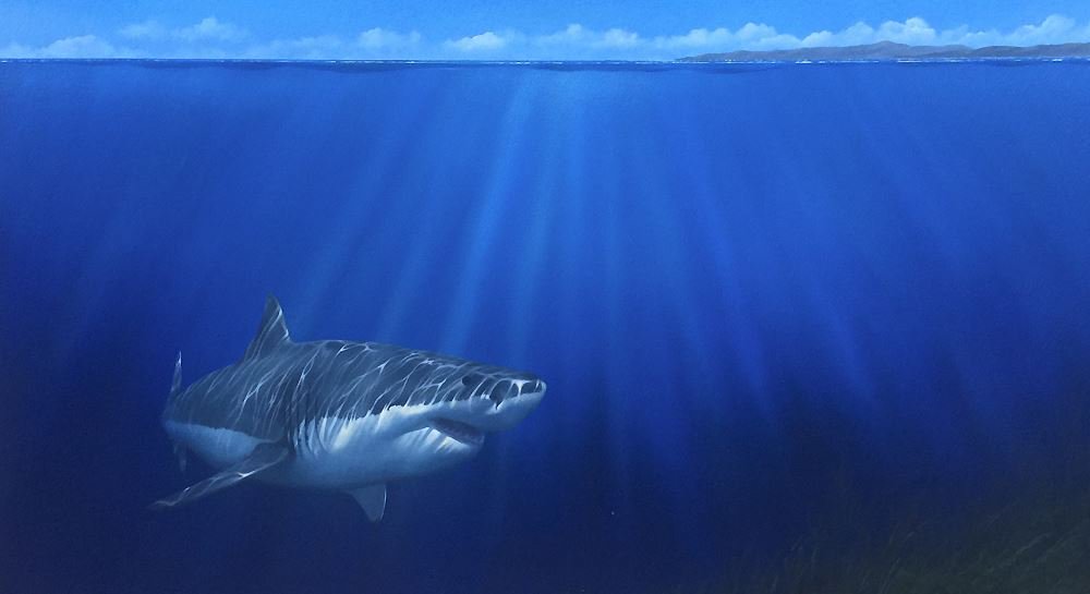 In our gallery at the moment we have the original painting that was produced from Jonathan Truss' shark cage dive in South Africa: theguardian.com/artanddesign/j…