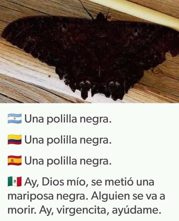 Ultimo_Minuto_'s tweet photo. Te amamos México 😂😂😂😂 https://t.co/s9TRKsdqrw