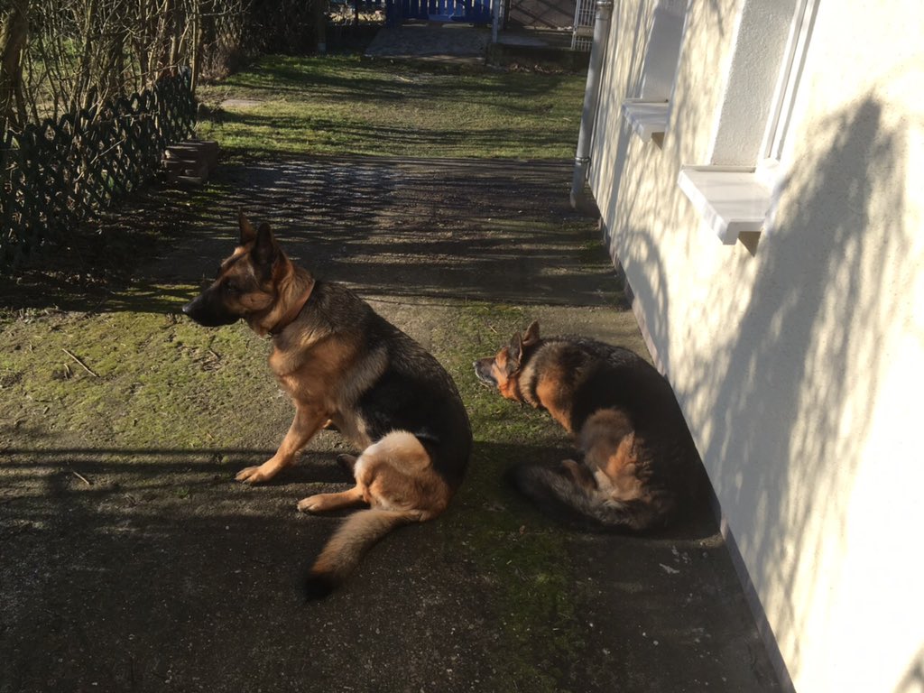 Krawattentrucker tweet media