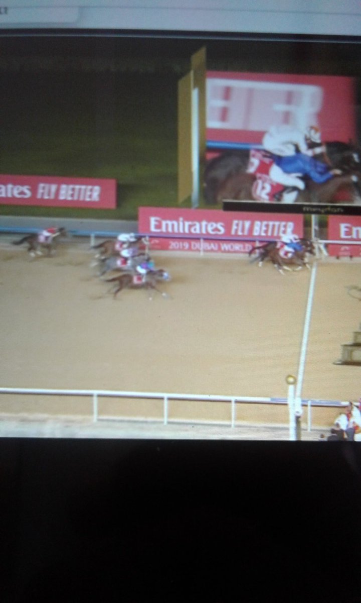 jesusms's tweet image. Gran Carrera #Gunnevera con las botas puestas, gracias por hacernos soñar @SanoStable @ASanoRacing @JaramilloJockey @chinitoprada @salomondelvalle