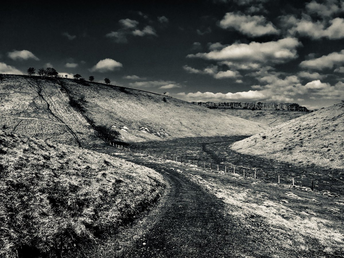 Yorkshire Wolds Weather tweet media