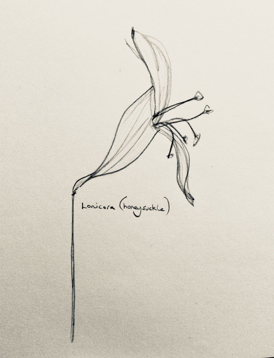 JudithAnnBrown's tweet photo. Last days of March #artworks #Cambridgeart #Marchdays https://t.co/ZgTAVFCJvx