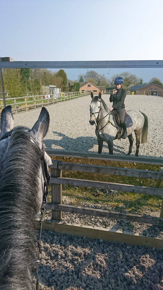 JemmaCopasEqDT's tweet photo. Reunited at last!! Nearly 4yrs since my homebred bro &amp; sis have seen each other...now stabled side by side 🥰 I can’t wait to see what this year brings with the fabulous little #teamgrey @MTaylorEventing @SpannahGg thanks for all your hard work @HannahBateEvent 🐴 https://t.co/hQuOR6Kgr7