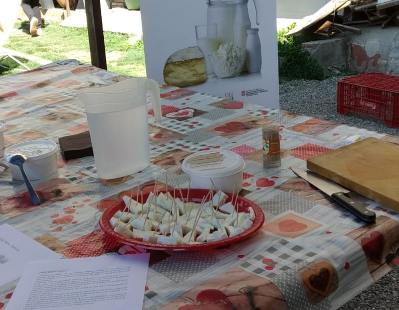 firastermengol's tweet photo. Interessant i fantàstica visita la que hem fet avui a la formatgeria Cal Majuba 🧀 de la Seu d'Urgell, en el marc del projecte europeu #innolact
Tot l'equip hem quedat molt satisfets👌 https://t.co/XagjqMIXdQ