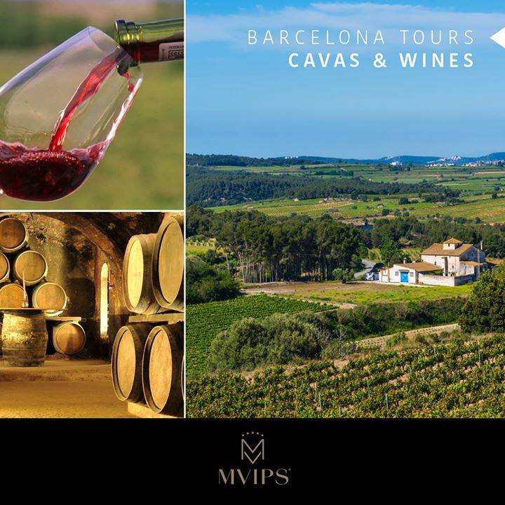 MVips_'s tweet image. #MvipsSL #Barcelona 
Enjoy the landscape, smells, tastes and emotions into a single outing. Experience this land with your taste and all your other senses.
(mvips.net/en/excursions/…)