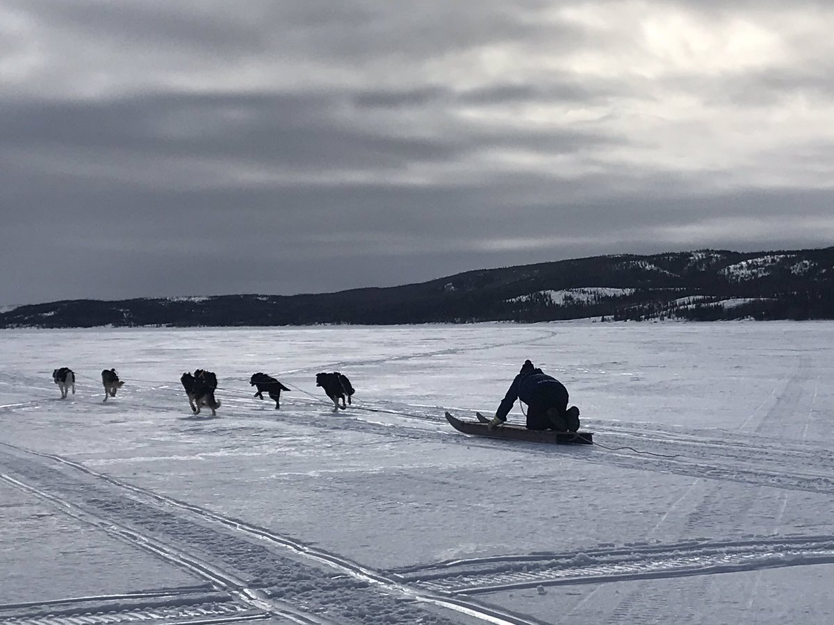 YvonneJJones's tweet photo. Heritage Dog Races in @NunatuKavut #PortHopeSimpson great group on the go this morning-snowmobiled approx 150k to see the start of the race early this am it was beautiful on the trails @GovCanNorth https://t.co/357OKht9Ty