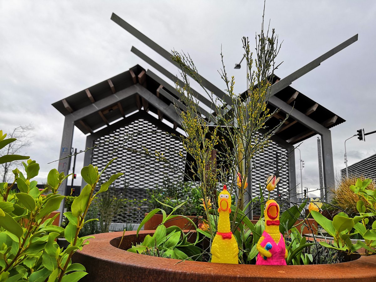 The V&amp;A Community Garden <a href="/VADundee/">V&A Dundee</a> Co designed by our Mentor Linsey <a href="/LinseyMcIntosh/">Linsey McIntosh</a> and Gary of <a href="/kennedytwaddle/">kennedytwaddle</a>. Which chicken is Gary and which is Linsey?