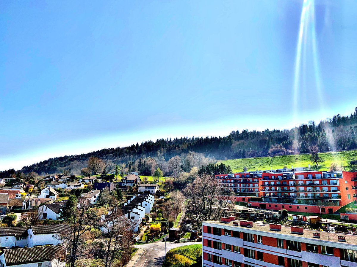 OBuerge's tweet photo. Strahlend Frühling #spring #switzerland #horgen #horgenberg https://t.co/lOfYrNjpbf