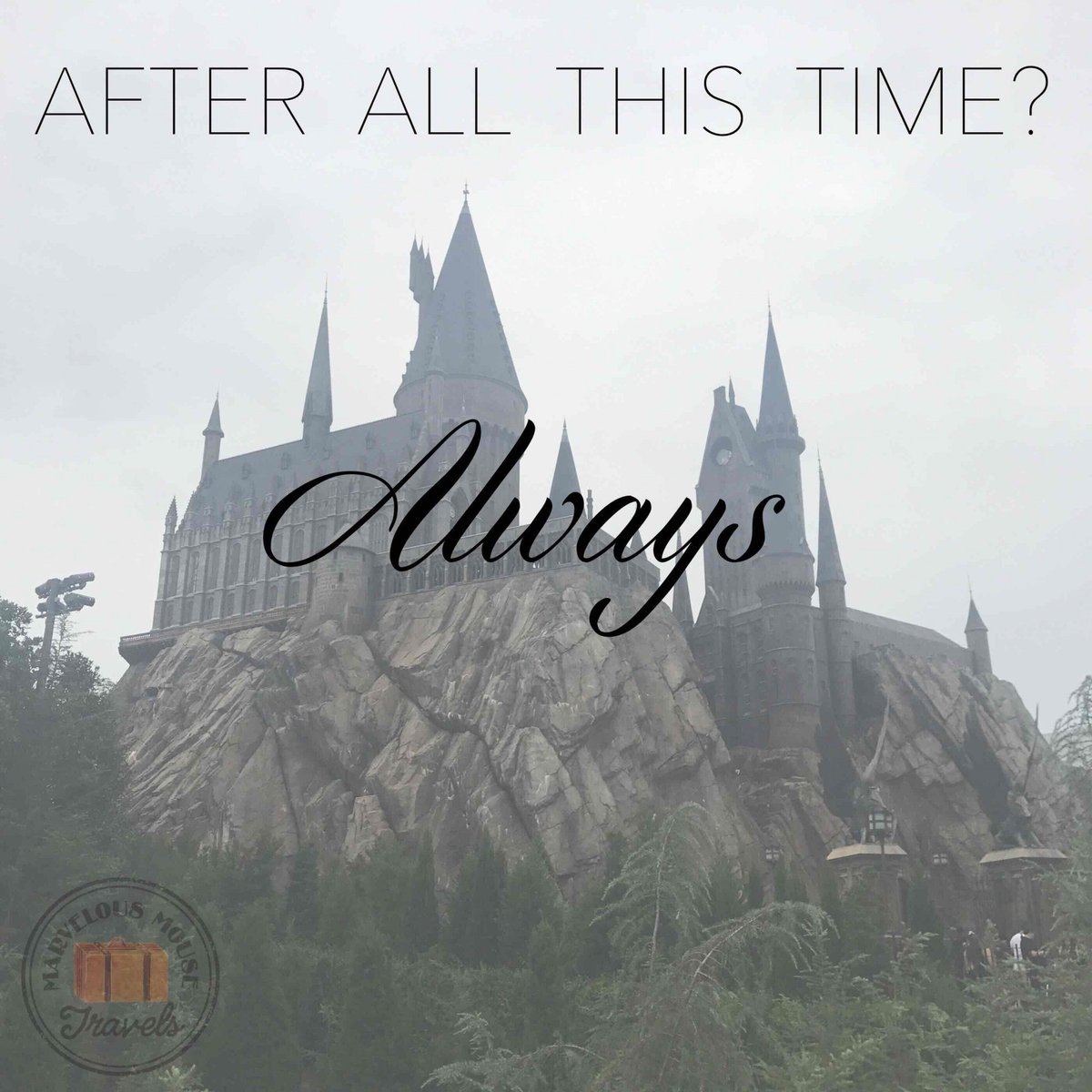 MMTravels_'s tweet photo. Thinking about a trip to Universal Orlando? Contact us today to learn more about their Buy 2 days, Get 3 FREE promotion! Plus when booked through us you always receive the early entry benefit, even if you’re staying offsite! https://t.co/NmYE1G7Wi6