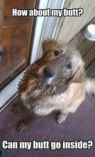 Happy Weekend! 
We hope you are enjoying the warmer (and muddier) weather that Spring has brought us. 
#allthemud #welcomespring