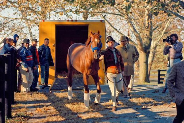 Claiborne Farm tweet media
