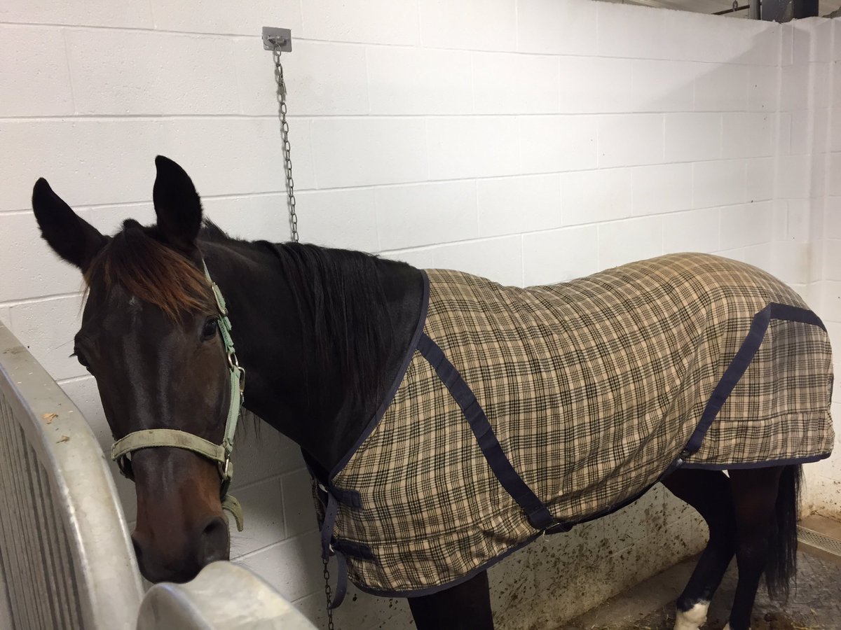 egdobrowolsk's tweet photo. @HPEmilyG @HoP_Racing @CeCe_Please Will see you tonight for the Mega Bowl! #WinningIsSweet #GetYoGameFaceOn https://t.co/c4d7AccA6q