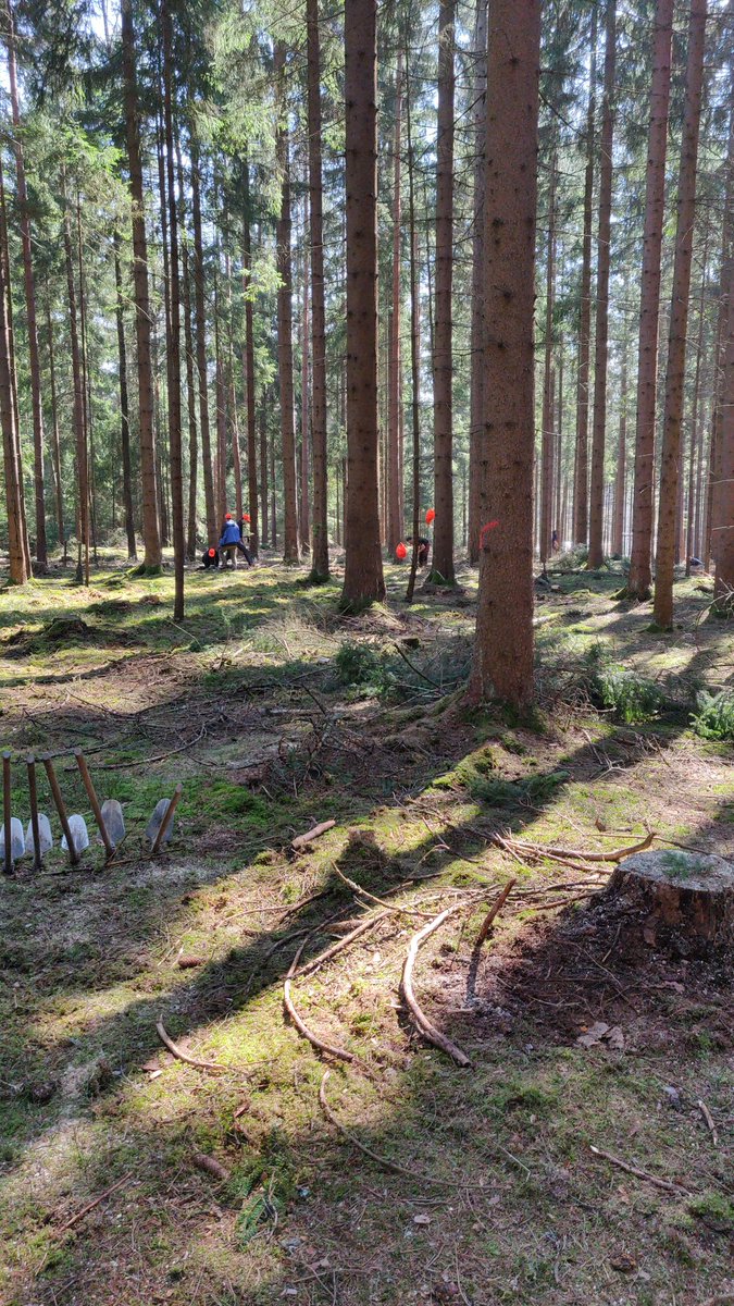 OkujavaShota's tweet photo. Einen Tag mal Bäume pflanzen... #wannabeisento #isento https://t.co/RKvH9yR9U5