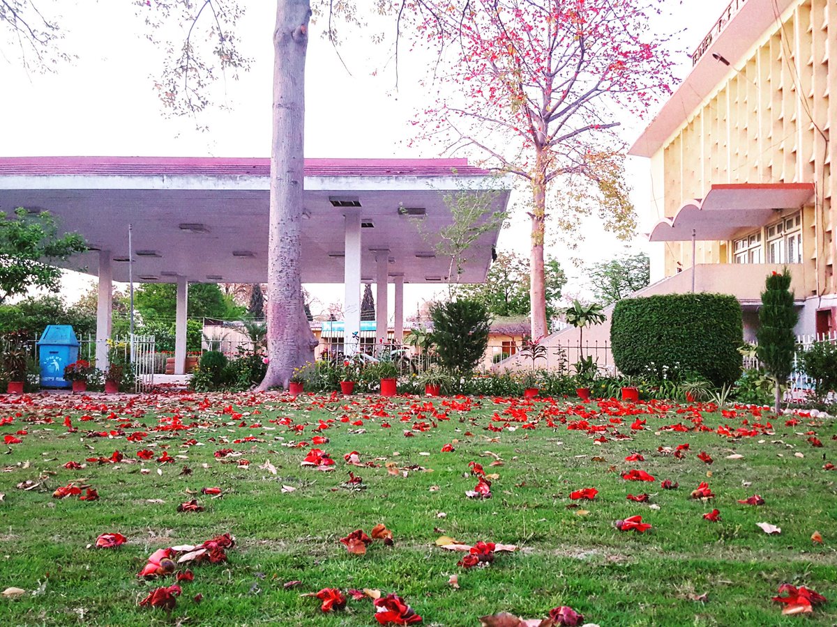 ZaidKhanLalay's tweet photo. #Sparlay
#peshawaruni
#stc https://t.co/1tzOS7oxt3