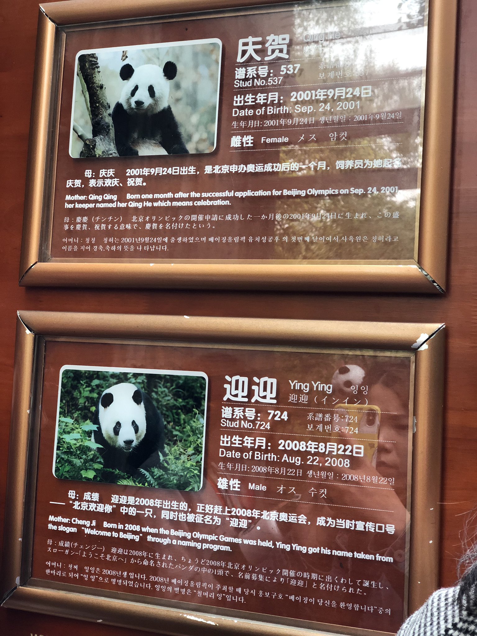 白玥镕 Bai Yuerong Twitter