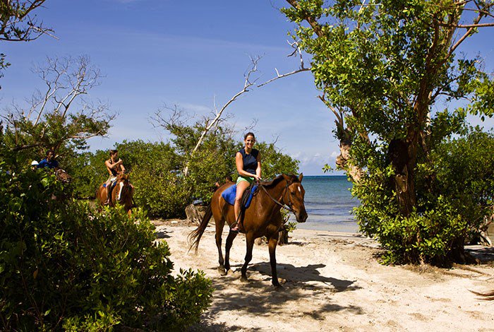 royaltonnegril's tweet photo. Your weekend adventure will begin as soon as you saddle up for a unique horseback ride through stunning landscapes on a pristine, sunny beach!  Visit #NexusTours to find out more. https://t.co/ReLVCuGKss