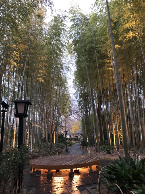 Shimoduru Naoykさんのイラスト一覧